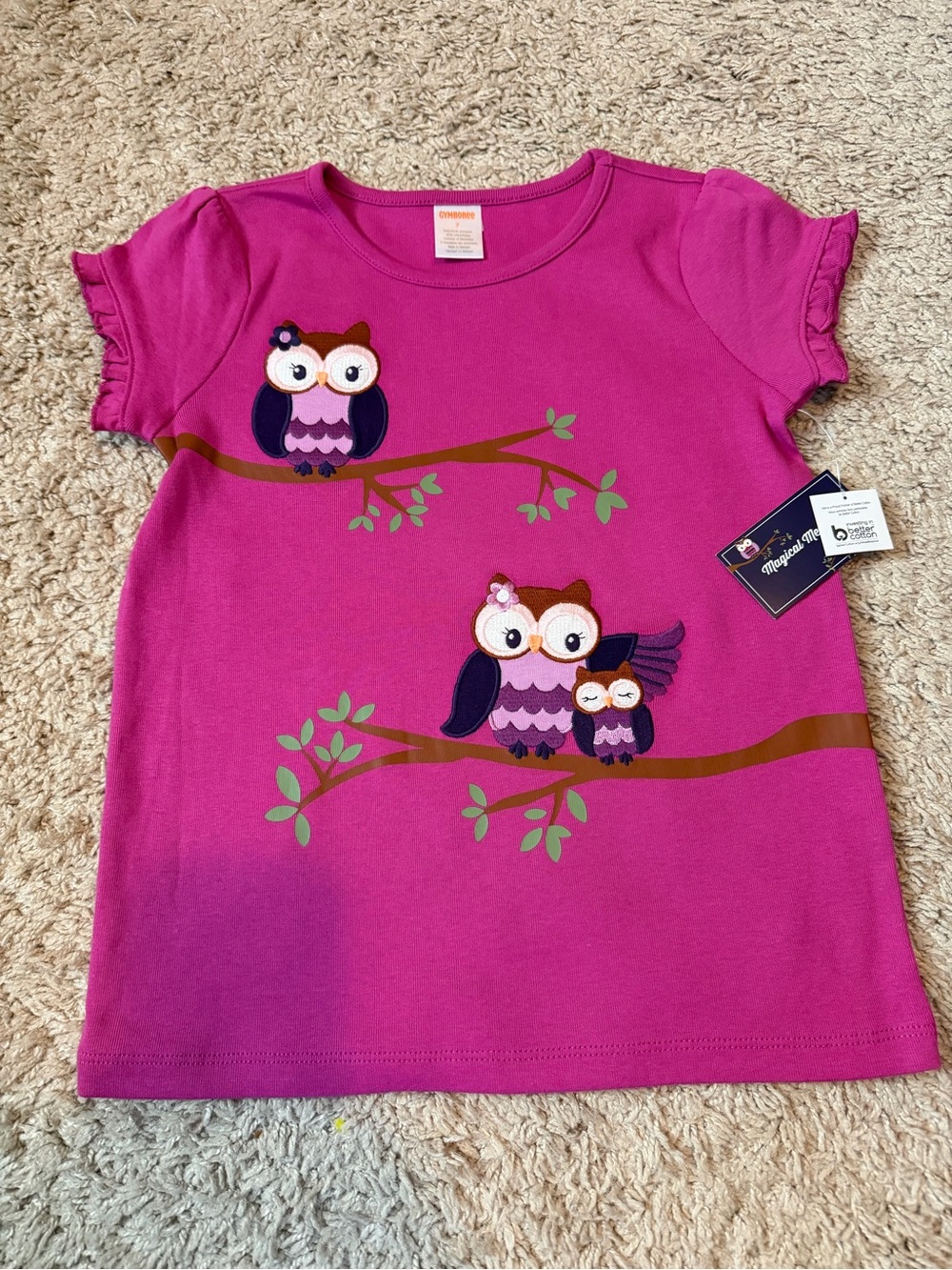 NWT Gymboree Owl Appliqué Graphic Short Sleeve Tee